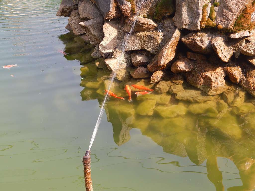 Фонтан Рыбак