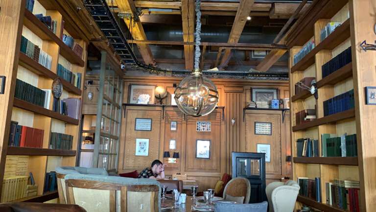 Онегин дача