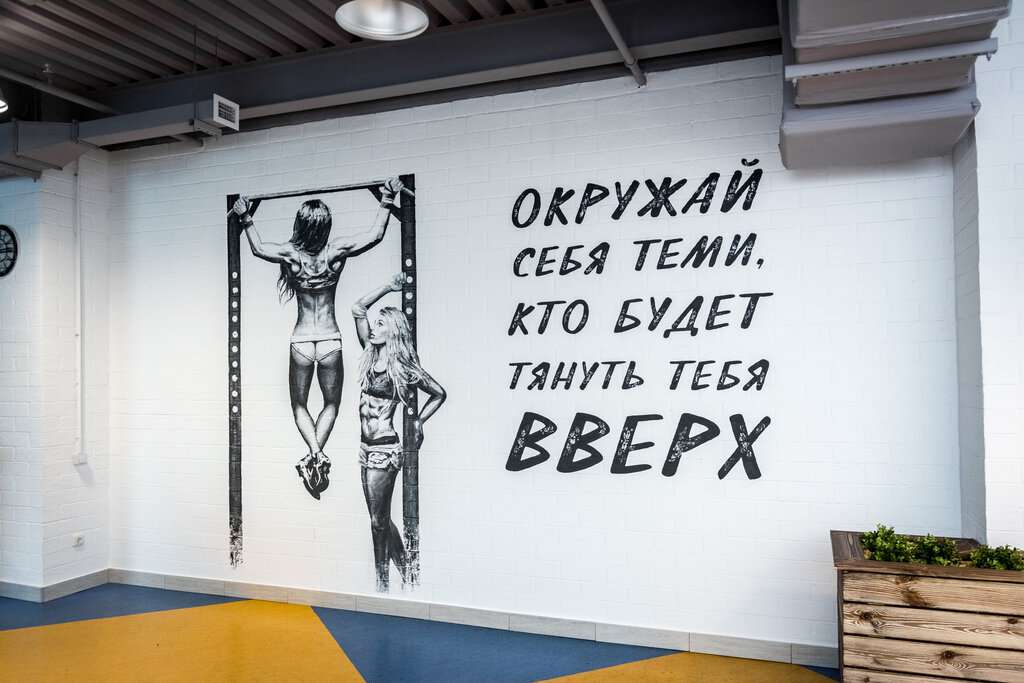 Фит Лайн Basic