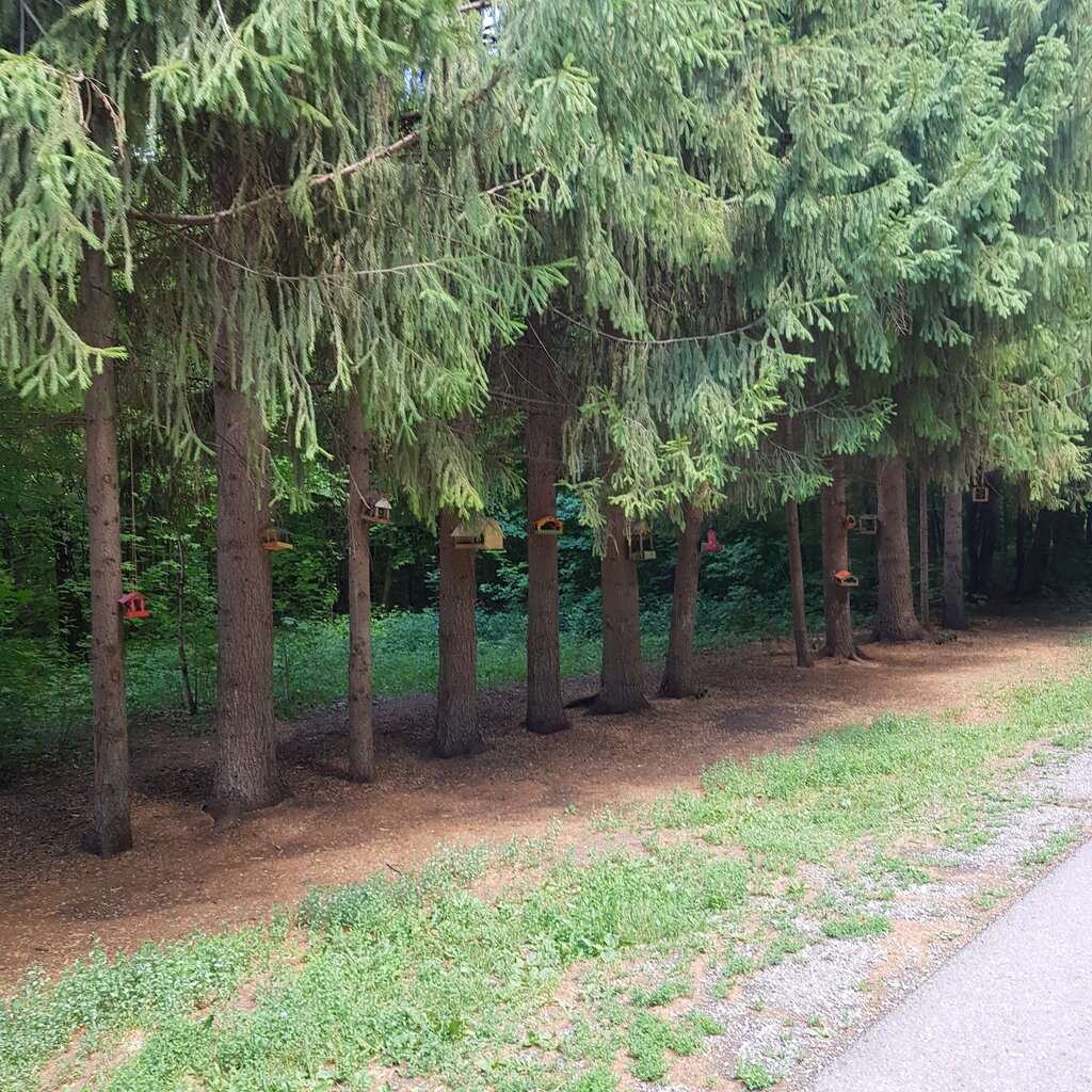 Лесопарк имени Лесоводов Башкирии