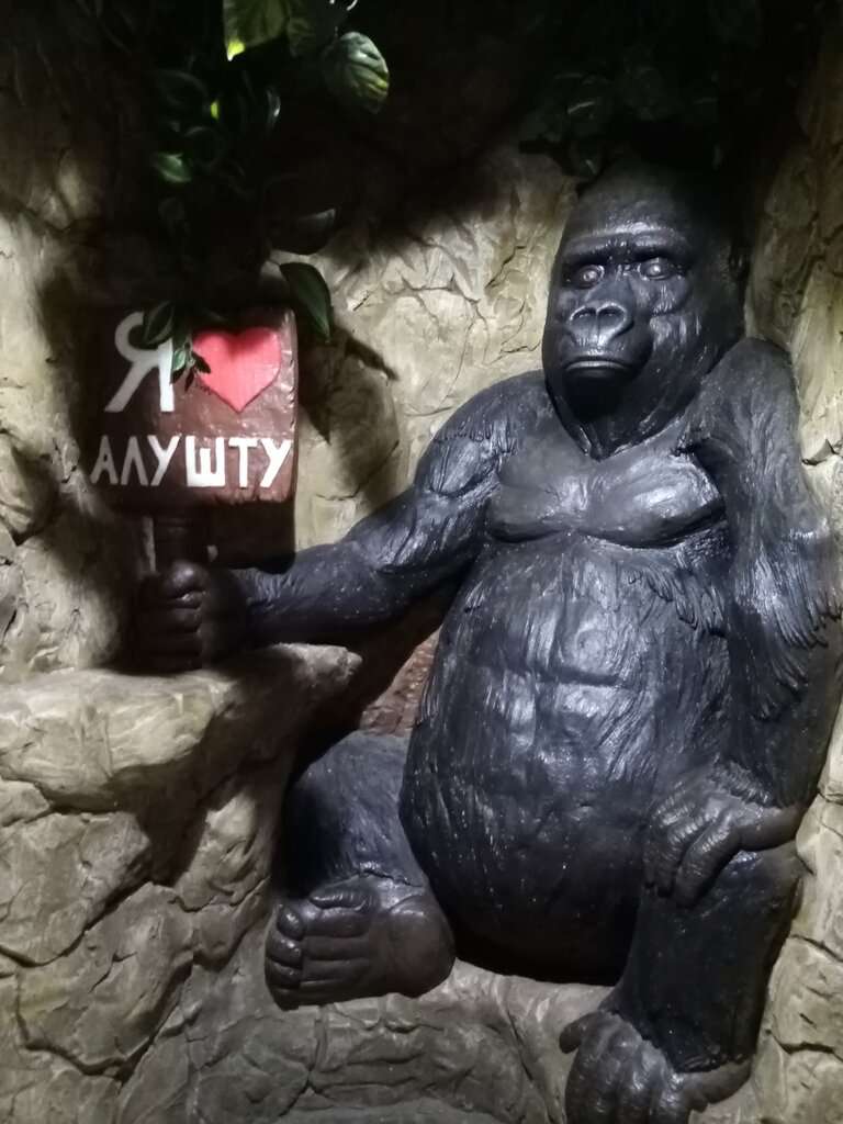 Мир джунглей