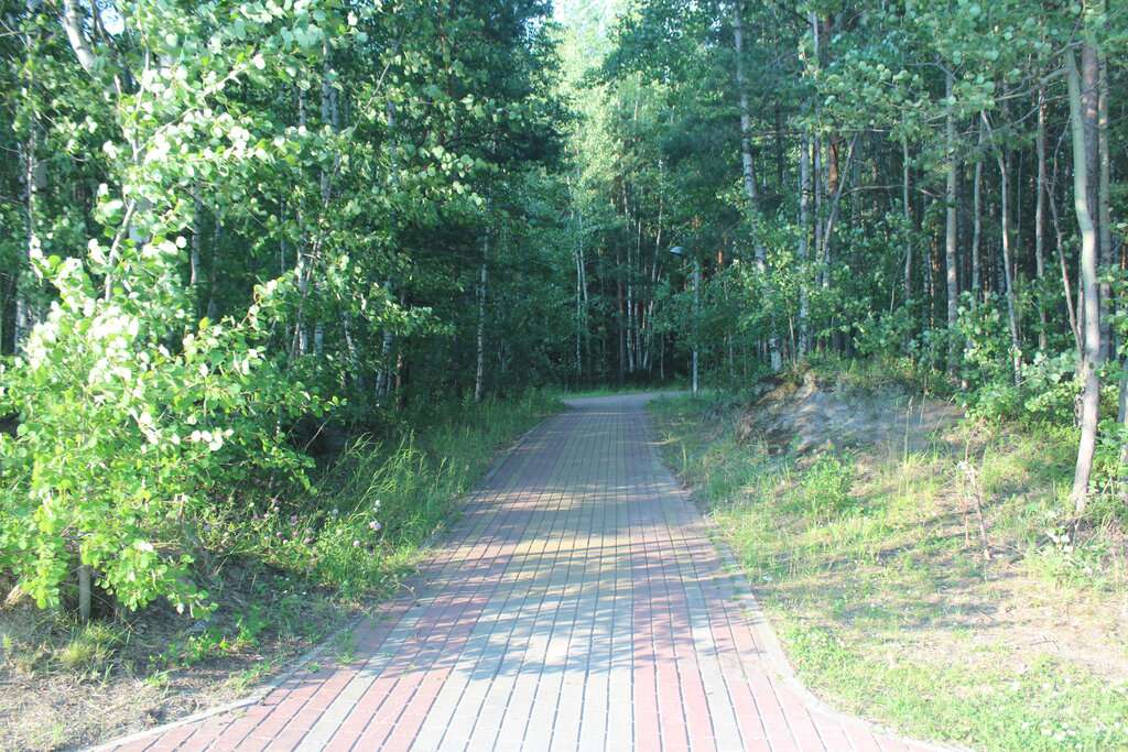 парк Кедровый лог