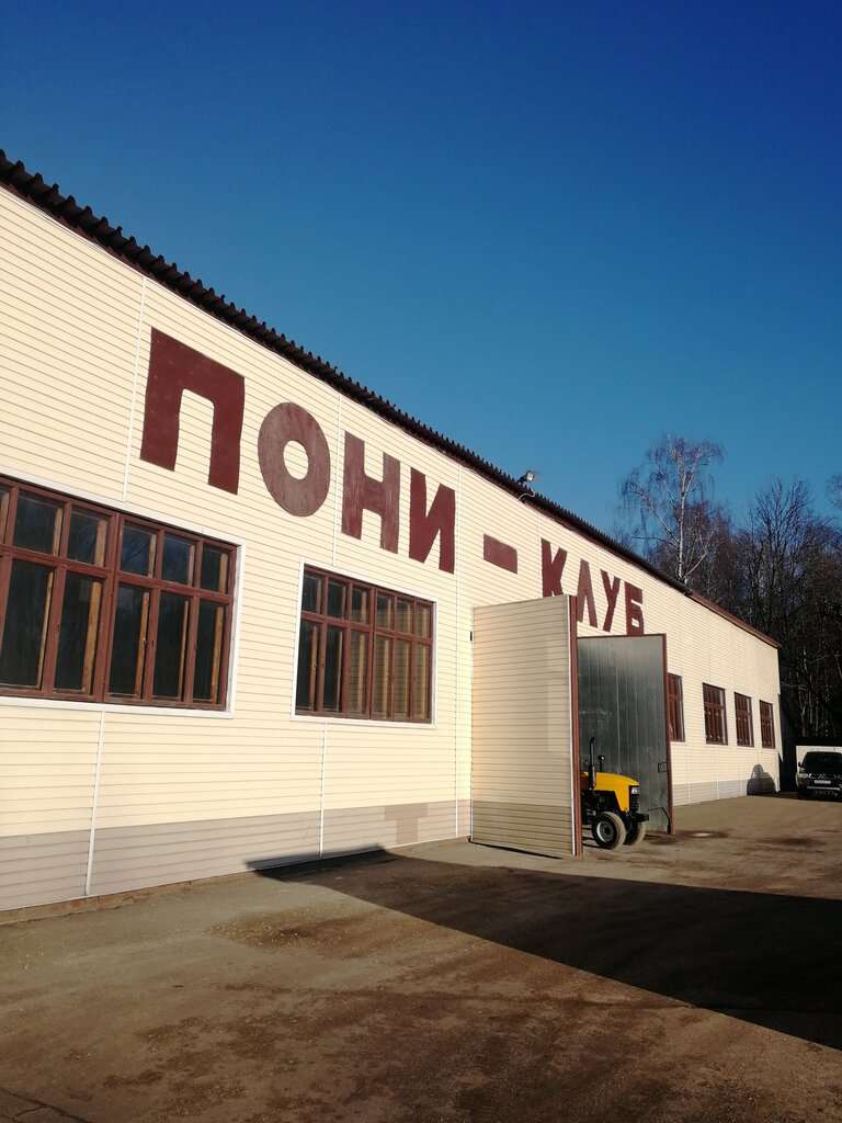 Большой московский пони-клуб