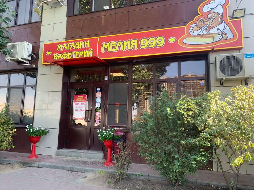 Мелия 999
