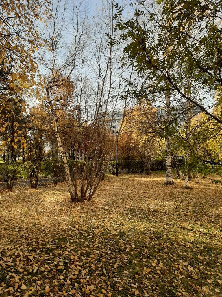 сквер Дружбы народов