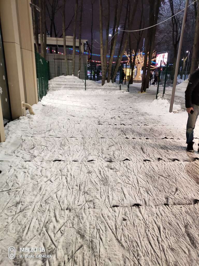 Южный полюс