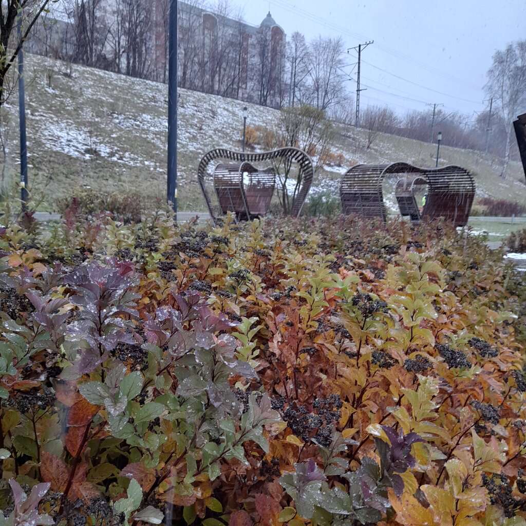 Смотровая площадка