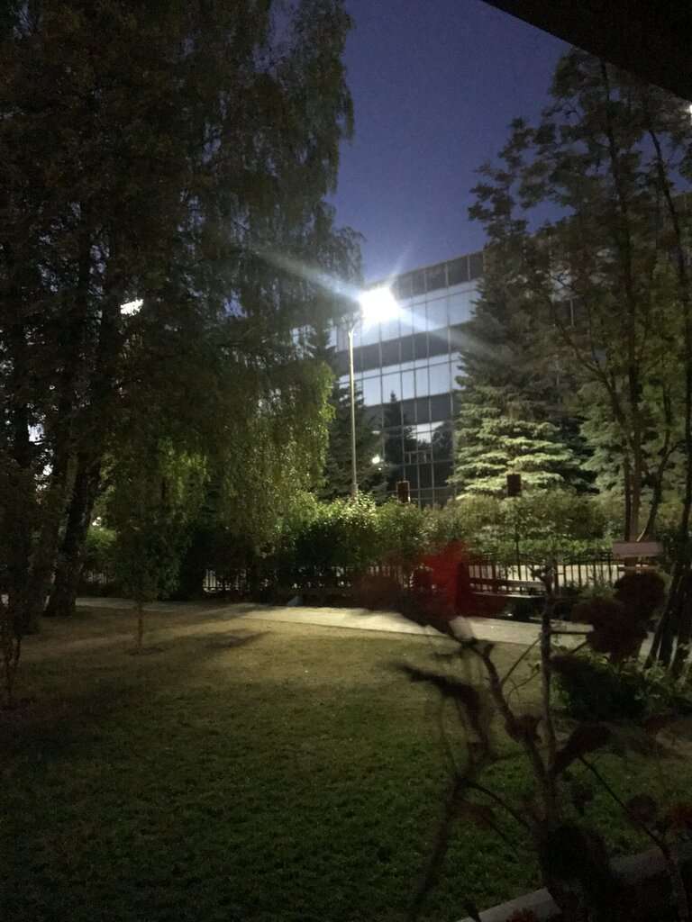 Открытый сад