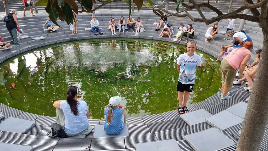 Водный лабиринт