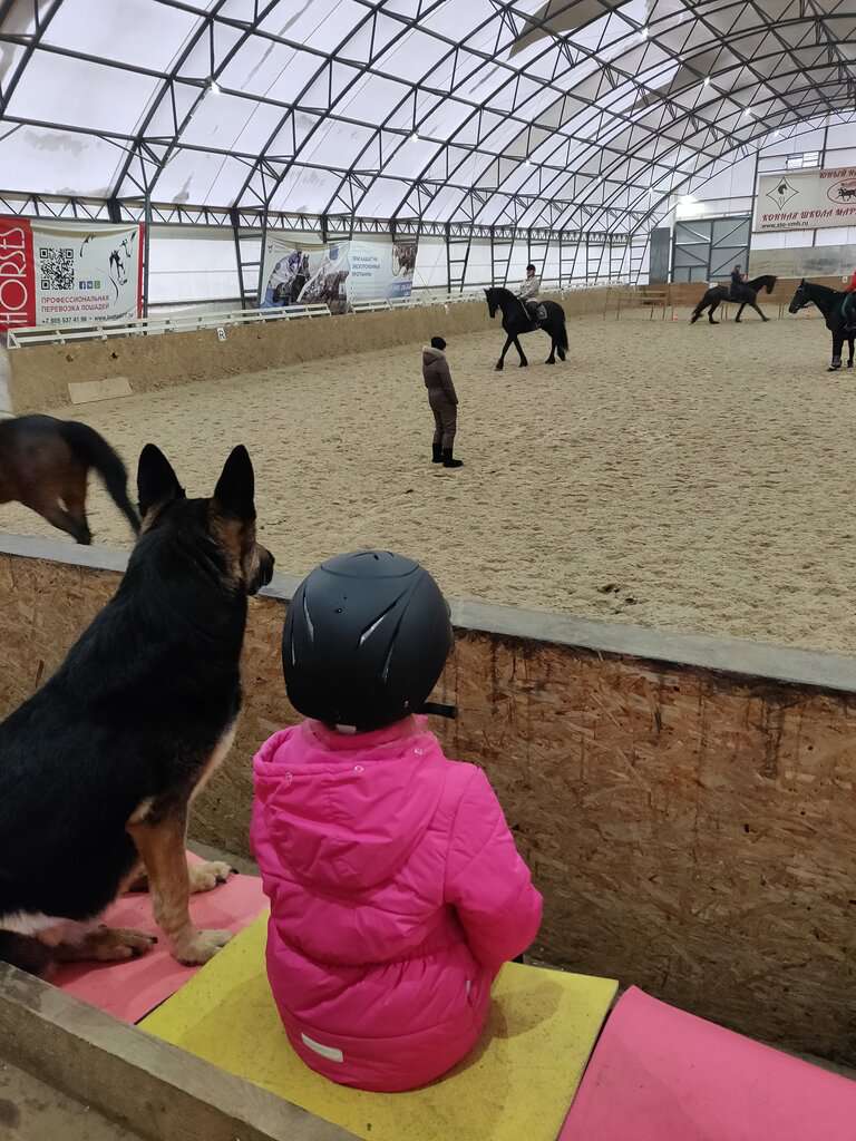 Конная школа Марины Воробьевой