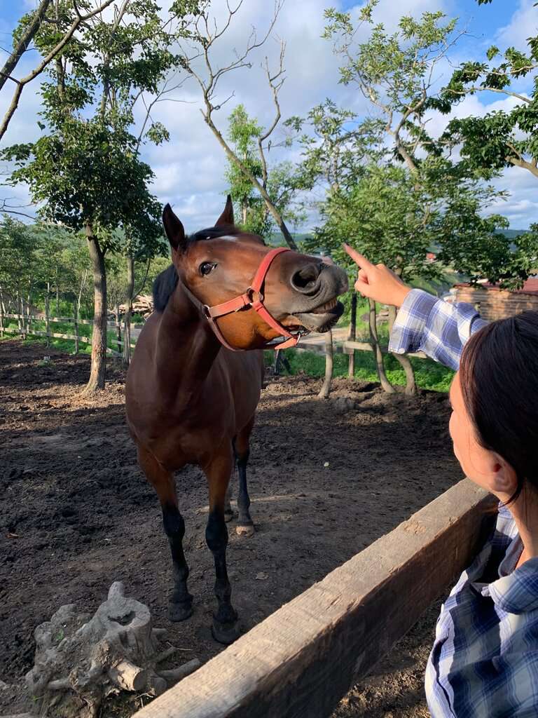 Конно-спортивный клуб Fast Horse