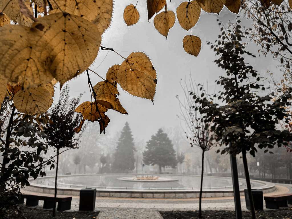 Фестивальный сквер