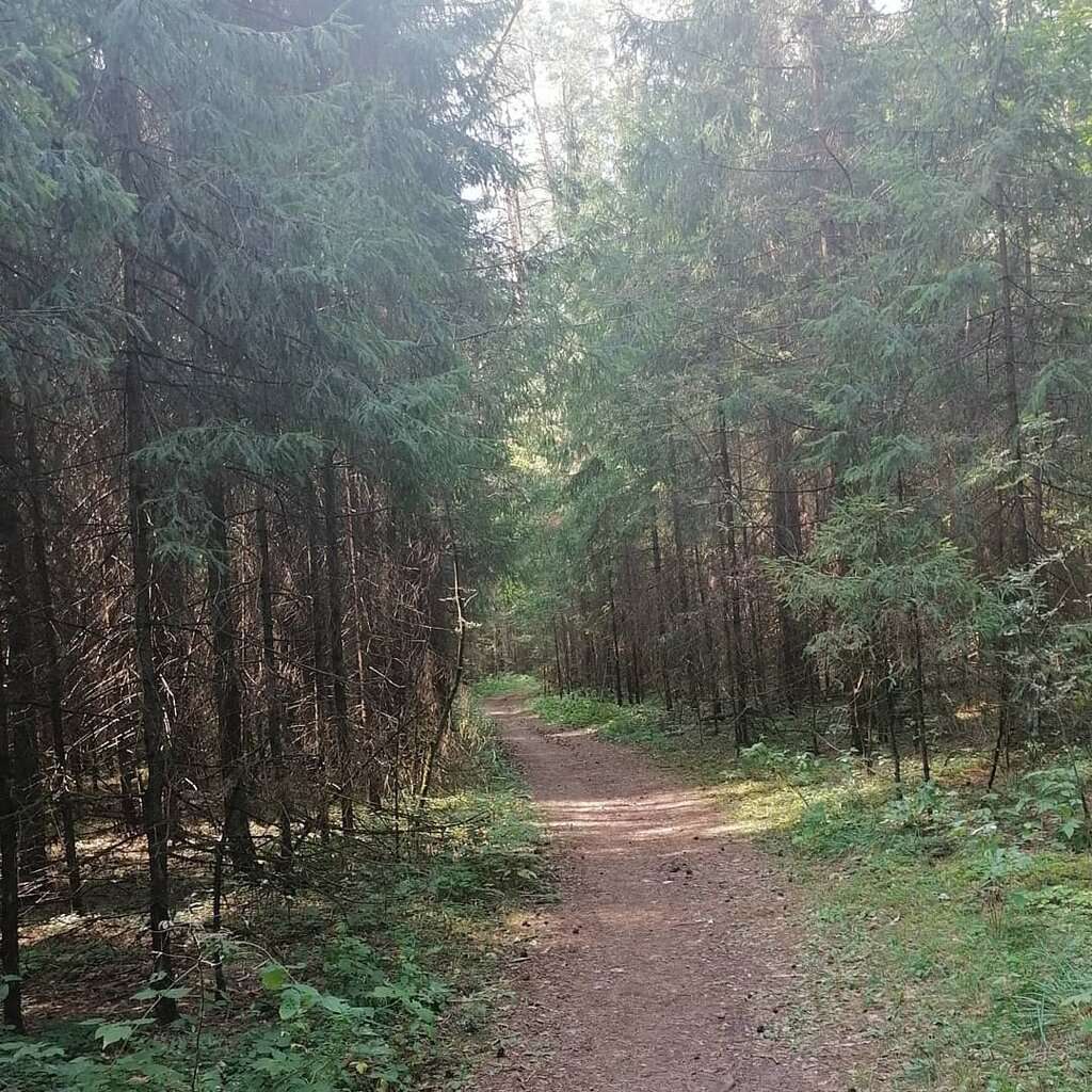 Парк культуры и отдыха