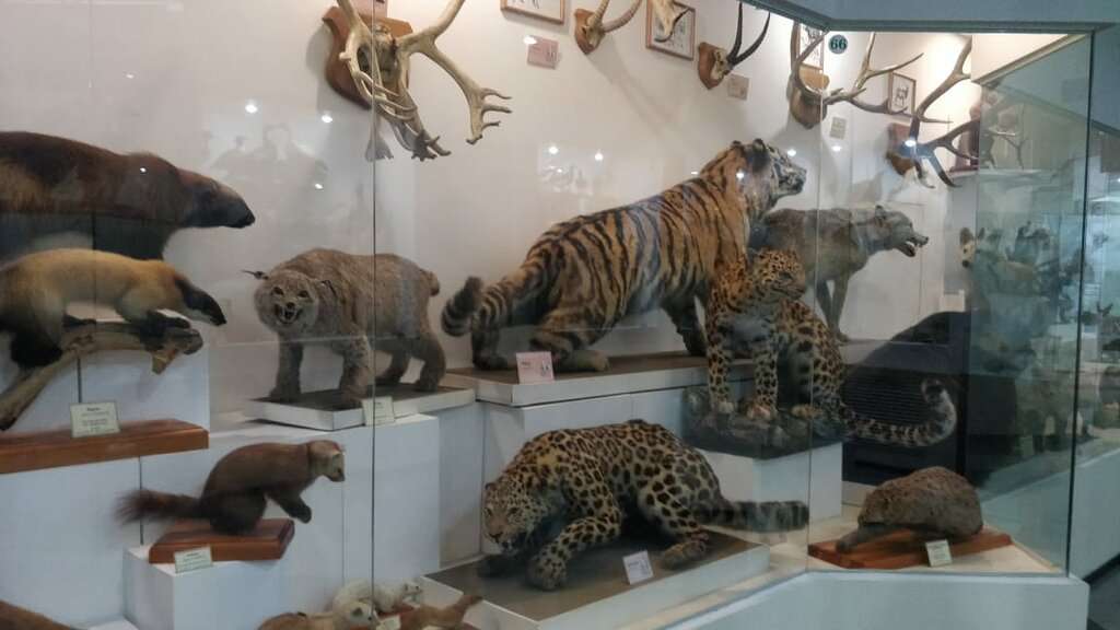 Научный музей ДВГУ