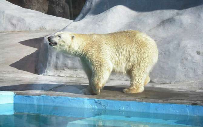 Государственный зоологический парк Удмуртии