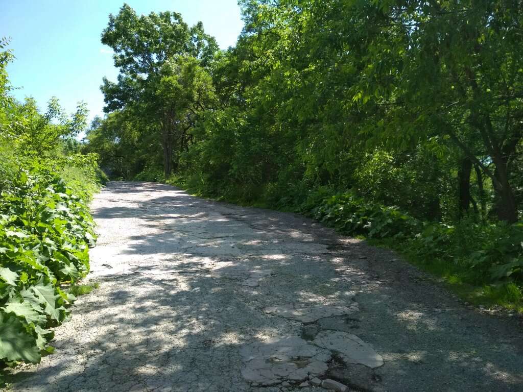 Нагорный парк