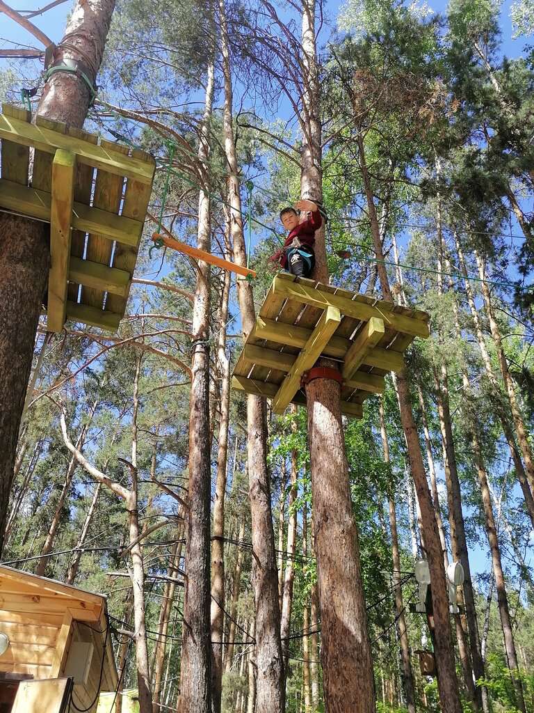 Лесной экстрим