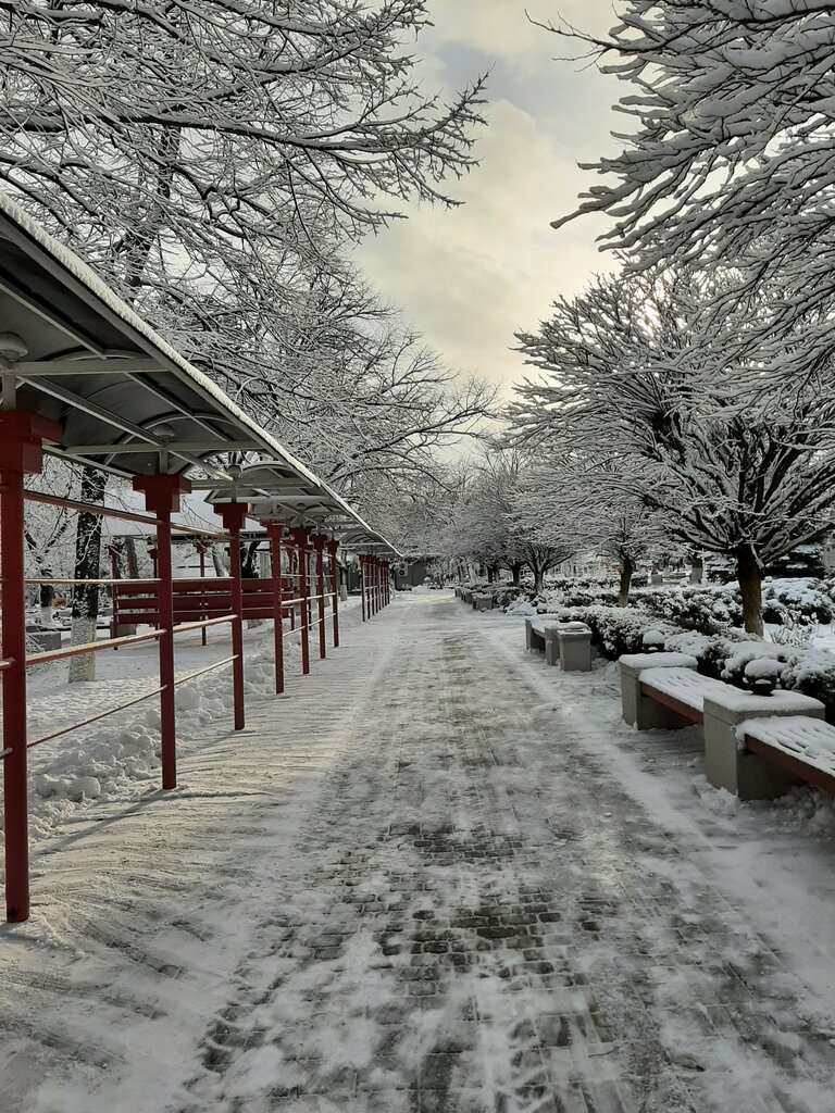 сквер 50-летия Октября