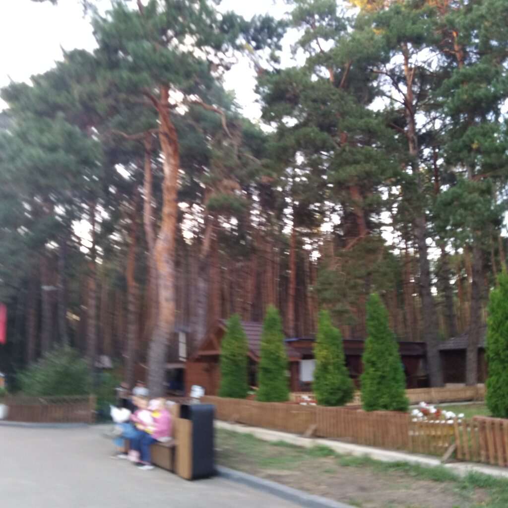 Парк 40 лет ВЛКСМ