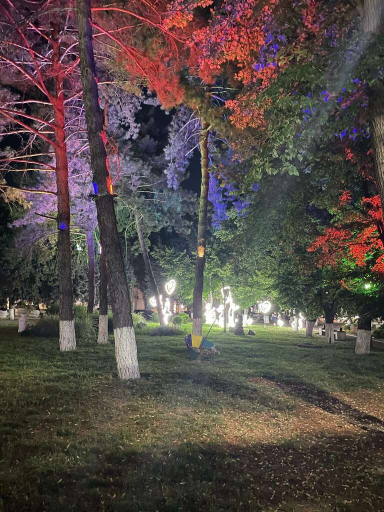 МП Города Армавира Городской парк