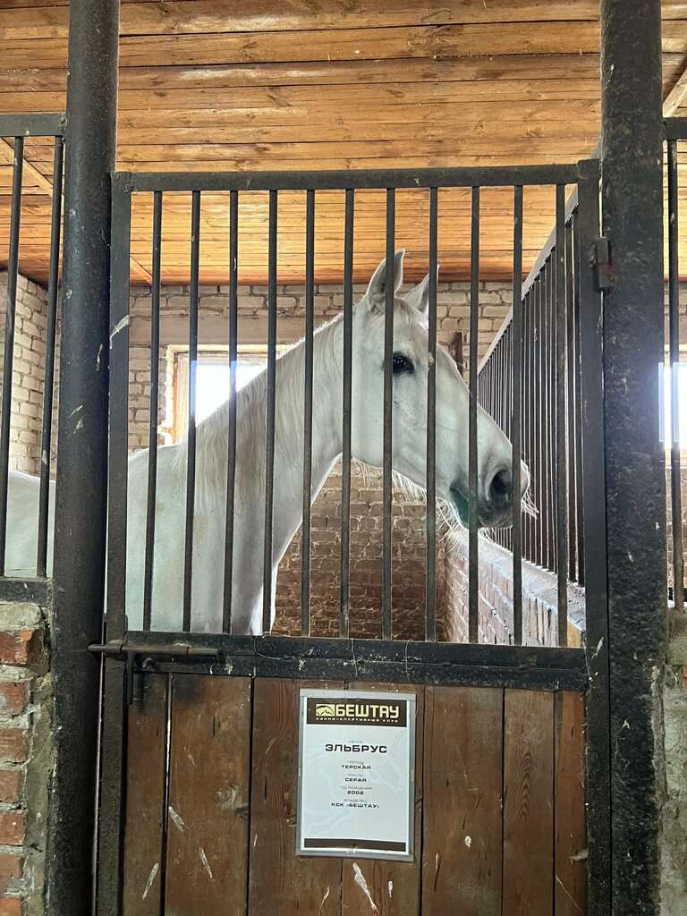 Конно-спортивный клуб Бештау