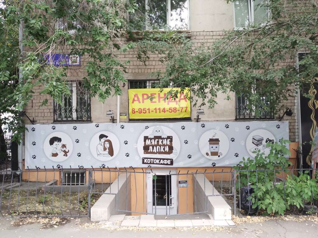 Мягкие Лапки