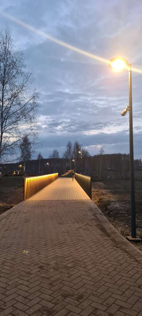 Берёзовая роща