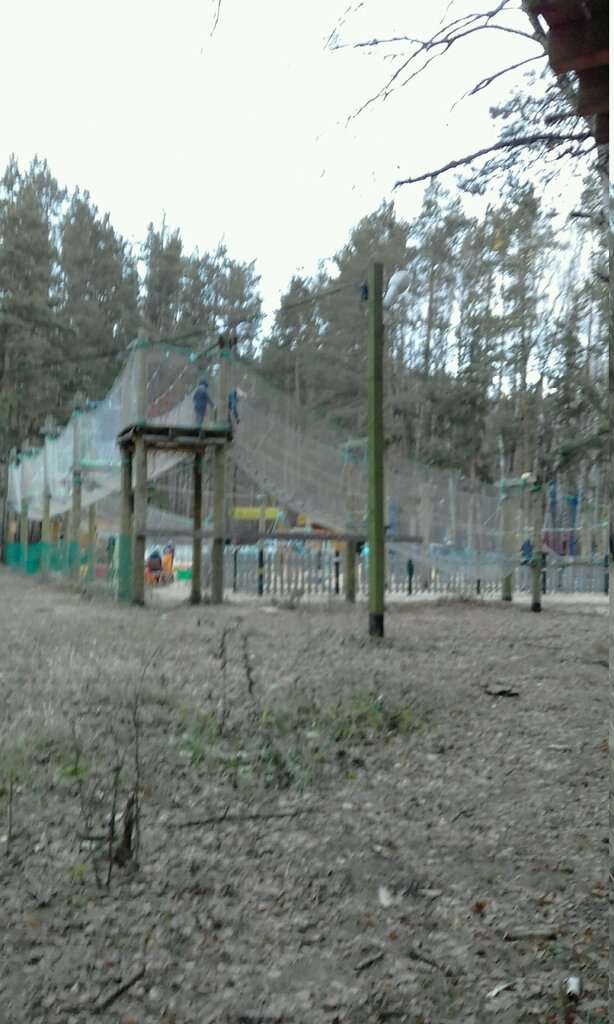 Лесной экстрим