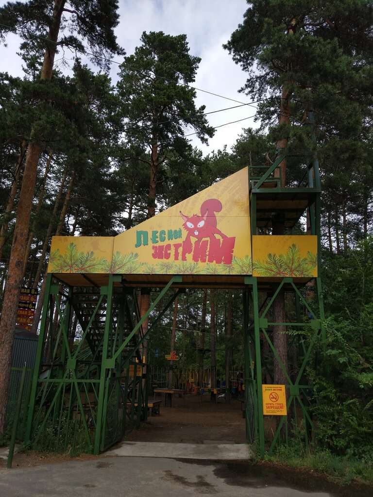 Лесной экстрим