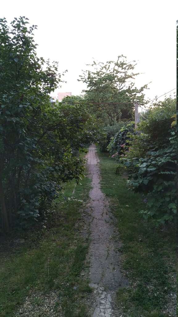 Ботанический сад НИИ Садоводства и виноградарства