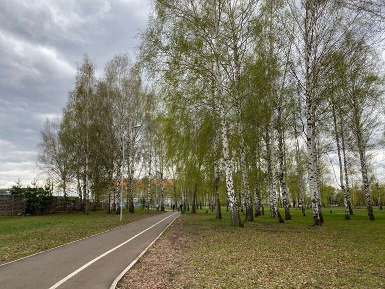 Экопарк на Моховой