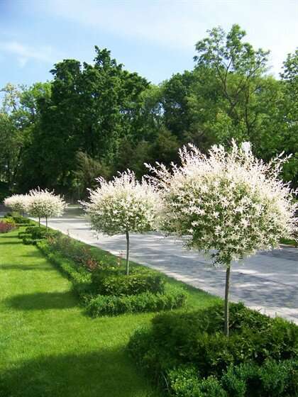 Городской Сад