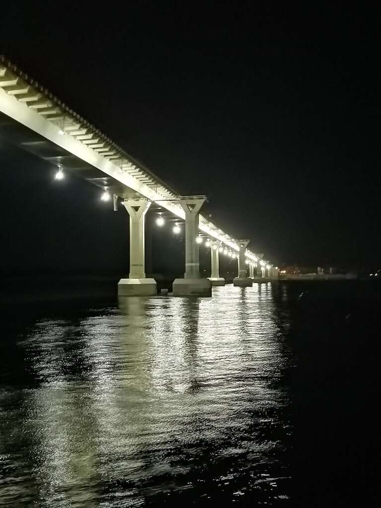 Волгоградский мост