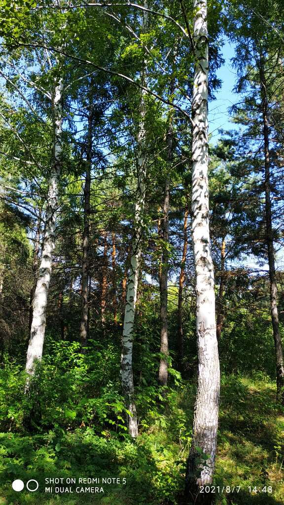 Парк культуры и отдыха