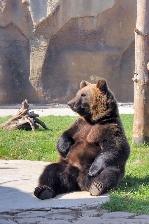 Государственный зоологический парк Удмуртии