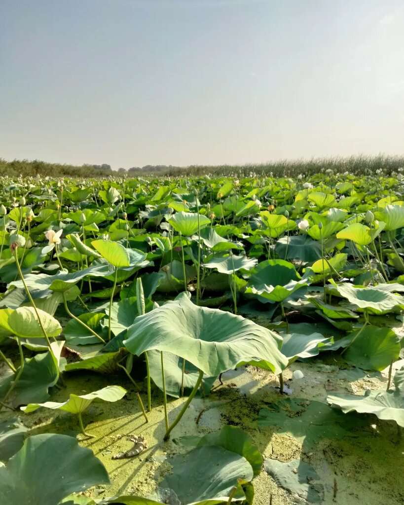 Смотровая площадка