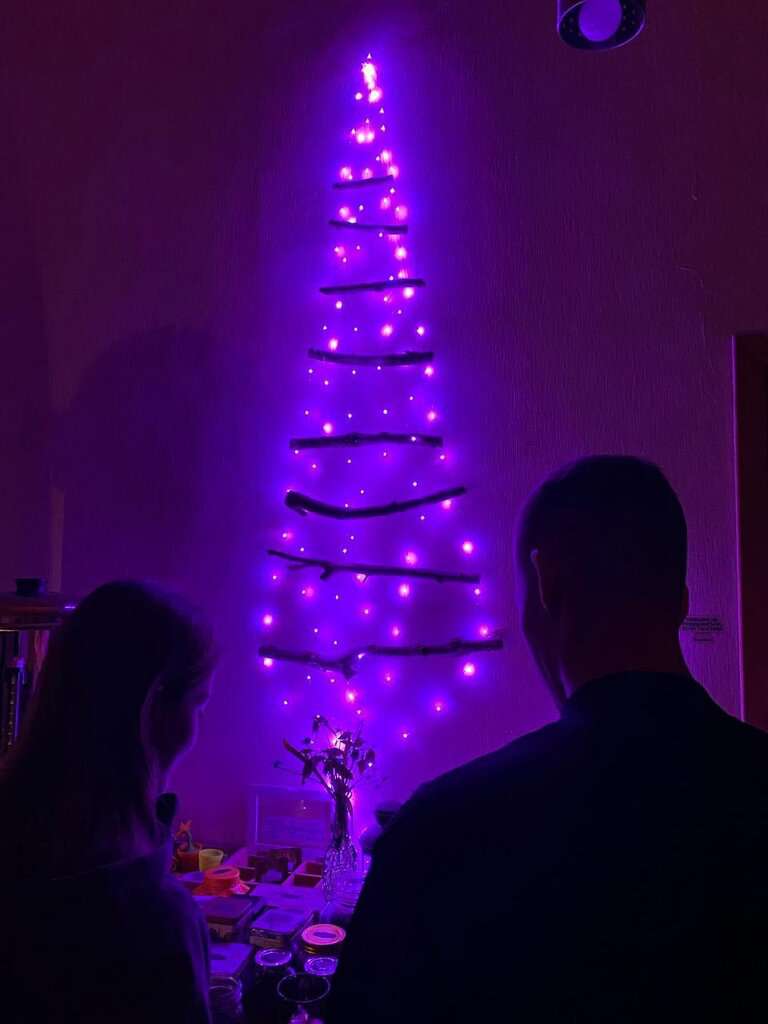 Дом Бородача