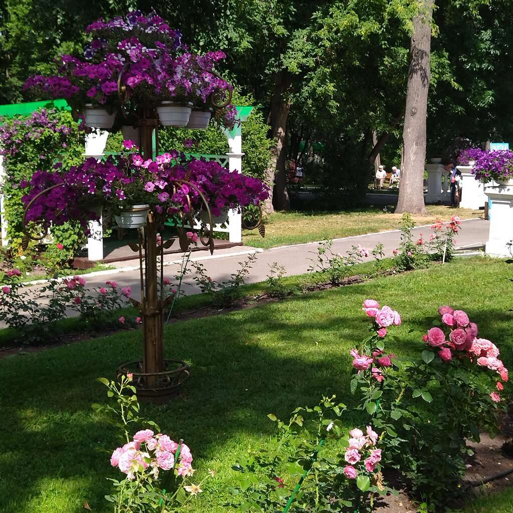 Центральный парк развлечений им. М. Горького