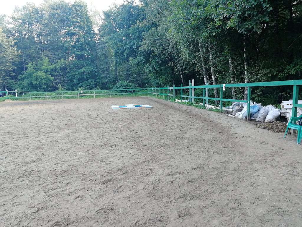 Волшебный лес