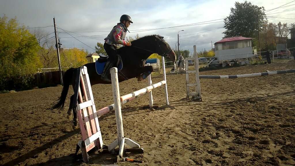 Обучение верховой езде
