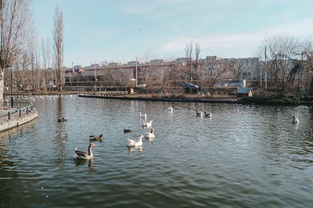 МБУК Краснодарские парки