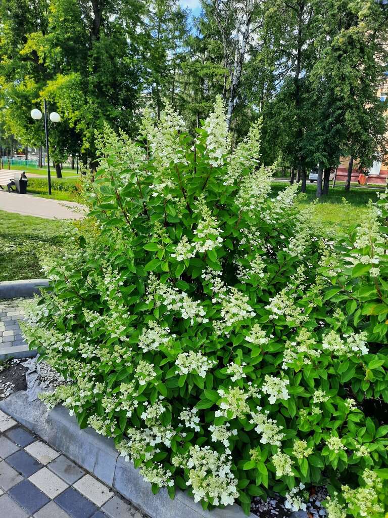 Набережная Кировского района