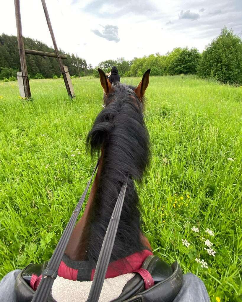 Мечта