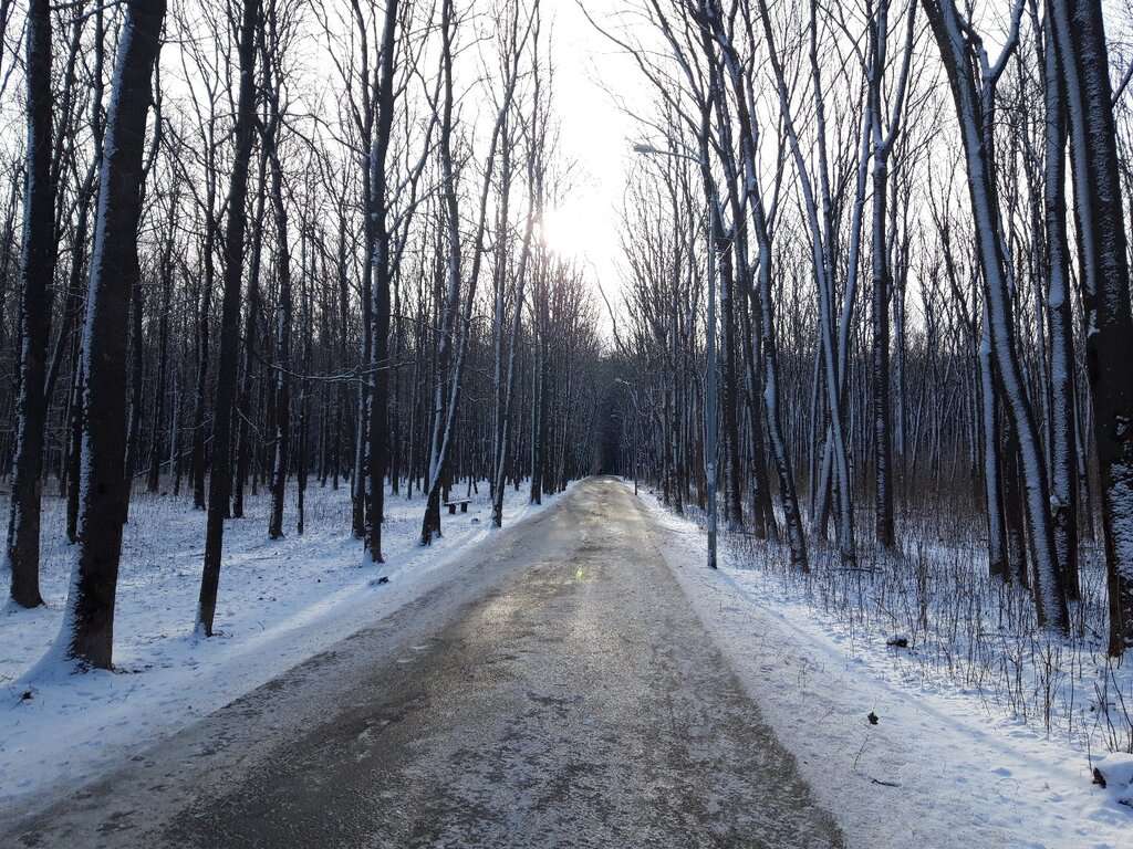 парк Пролетарского района