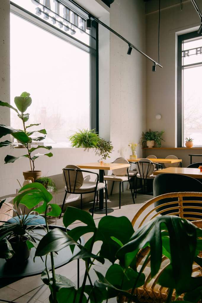 Кортадо Кофе