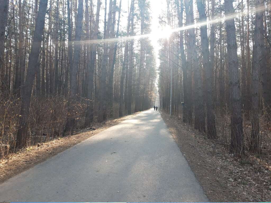 парк Пролетарского района