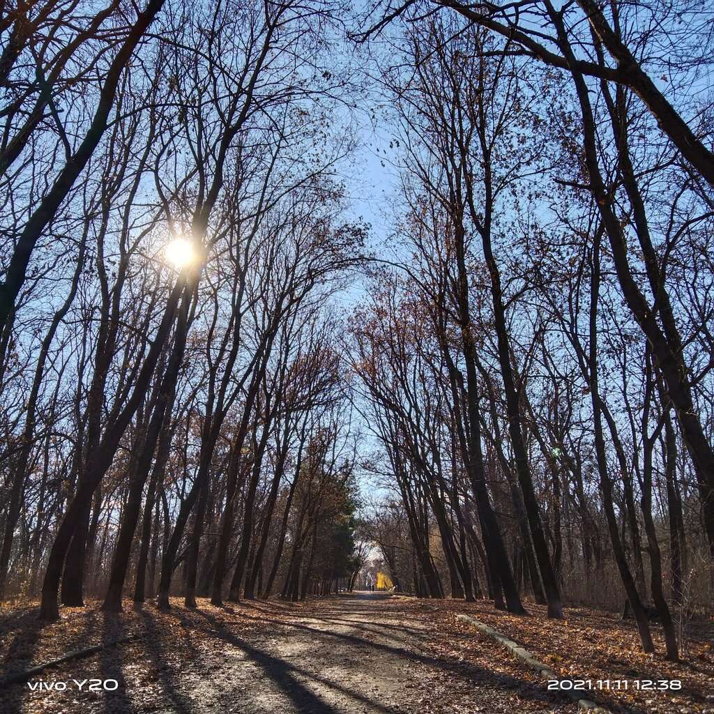 Парк Авиаторов